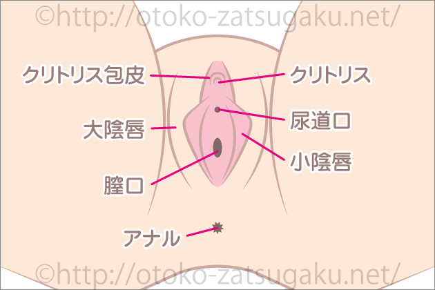 女性に潮を吹かせる3つの方法!どうすれば女性は潮を吹くのか?